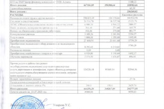 Отчет о доходах и расходах за 3 квартал_page-0001